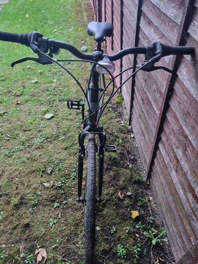 Adult Bike