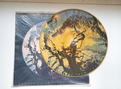 Bauhaus  Burning From The Inside Lp
