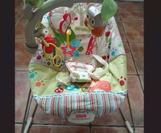 Fisher Price Calming Vibrations & Musical Activity Bouncer Chair