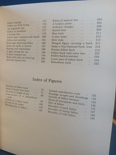 Fallow Deer book