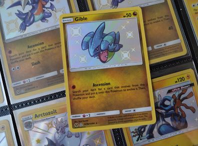 Gible ! Secret Rare ! from Secret Vault ! Hidden Fates Set ! 2019 ! Pokemon Card !
