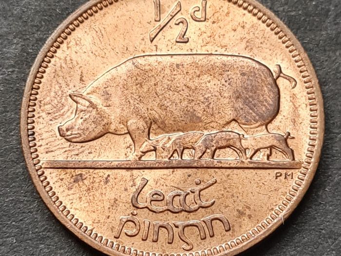 Ireland Excellent 1964 Half Penny coin with Lustre