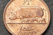 Ireland Excellent 1964 Half Penny coin with Lustre