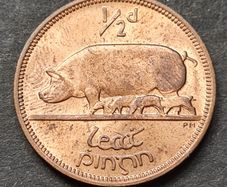 Ireland Excellent 1964 Half Penny coin with Lustre
