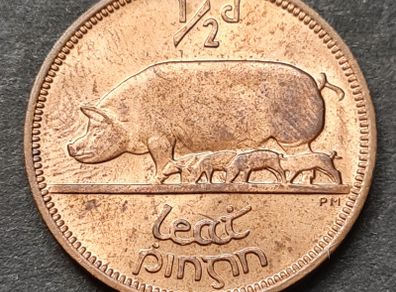 Ireland Excellent 1964 Half Penny coin with Lustre