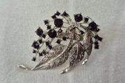 Beautiful Feather Brooch