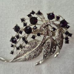 Beautiful Feather Brooch
