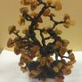 Baltic Amber  Tree Image 4