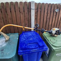 Ryobi strimmers