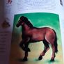 New book The Chinese Astrology handbook Image 10