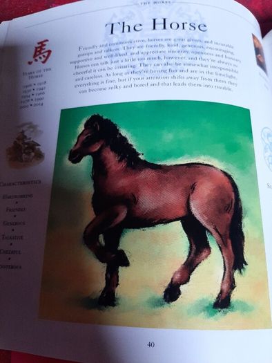 New book The Chinese Astrology handbook
