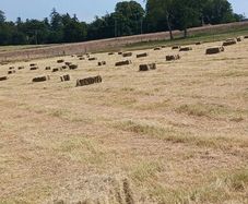 Hay Bales