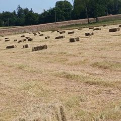 Hay Bales