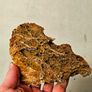 Maple Leaf Rock Image 2