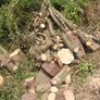 firewood Image 3