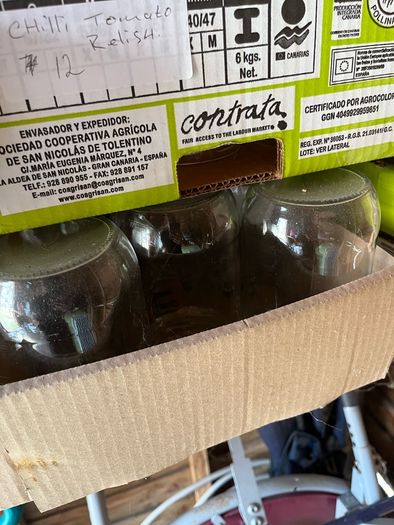 Glass bottles/mason jars