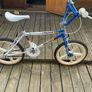 Raleigh team mag burner Image 6