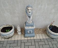Concrete Lion and flower pots