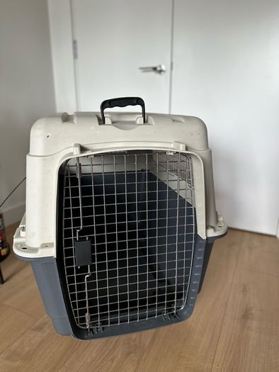 pet
