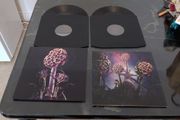 vinyl Blut Aus Nord Hallucinogen