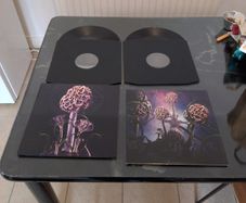 vinyl Blut Aus Nord Hallucinogen