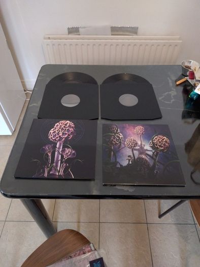 vinyl Blut Aus Nord Hallucinogen