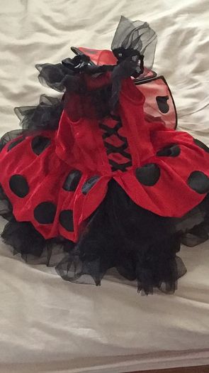 Brand New Ladybird Costume age 2