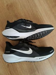 nike Pegasus 41