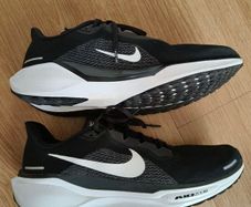 nike Pegasus 41
