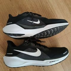 nike Pegasus 41
