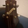 Rare Vintage 1930's Gretsch Jumbo Archtop Tenor Acoustic Image 9
