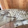 Quirky Fish Made From Animals Horn Image 2