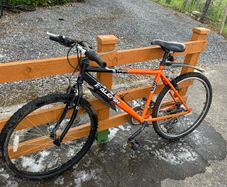 Mens bike