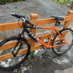 Mens bike