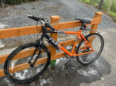 Mens bike