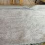 rug Image 2