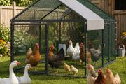 Metal Chicken Coop for 4-6 Chickens, 1 x 2 x 1 m, Small Chicken Cage with Waterproof Cover &amp; Double Doors