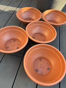 Shallow Planters Bundle