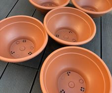 Shallow Planters Bundle