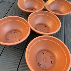 Shallow Planters Bundle