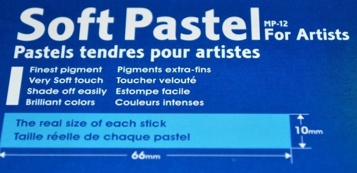 Mungyo Artist's Soft Pastels (12 Multicolour)