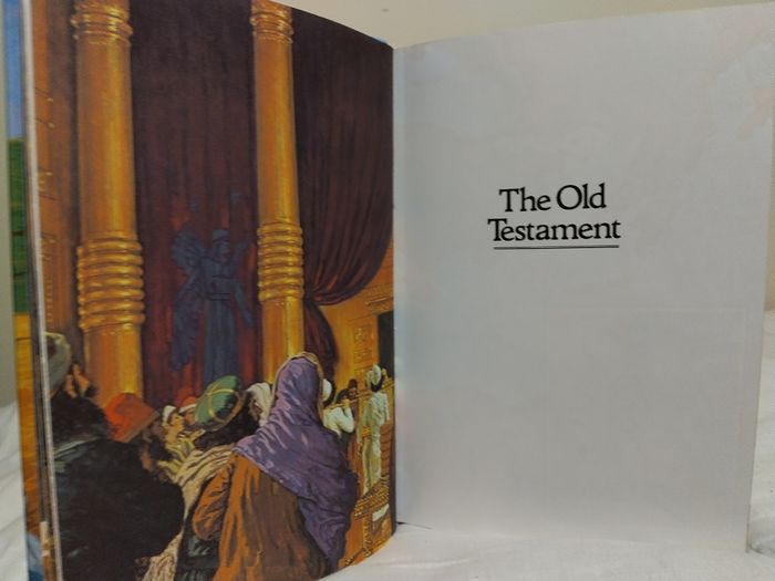 The All Colour Children,s Bible Hardback