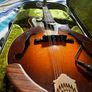 Northfield mandolin NF-F5S Image 4