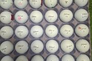 Titleist Pro V1