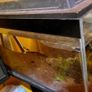 fish tank Image 2