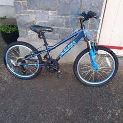 Boy's Bicycle