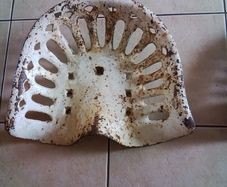 Antique And Collectables