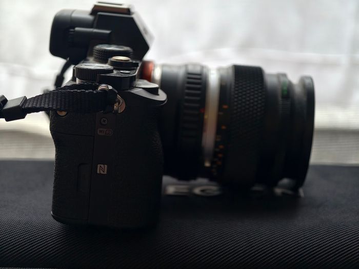 Sony a7 (1st gen) + Zuiko 50mm 1.2