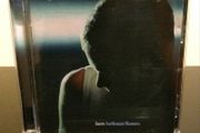 Hothouse Flowers Born CD Album