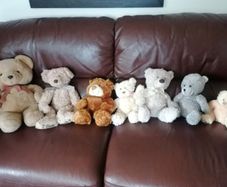 Teddy Bears Soft Toys
